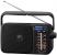 PANASONIC RADIO RF2400DEGK ANALOGICA FM/AM